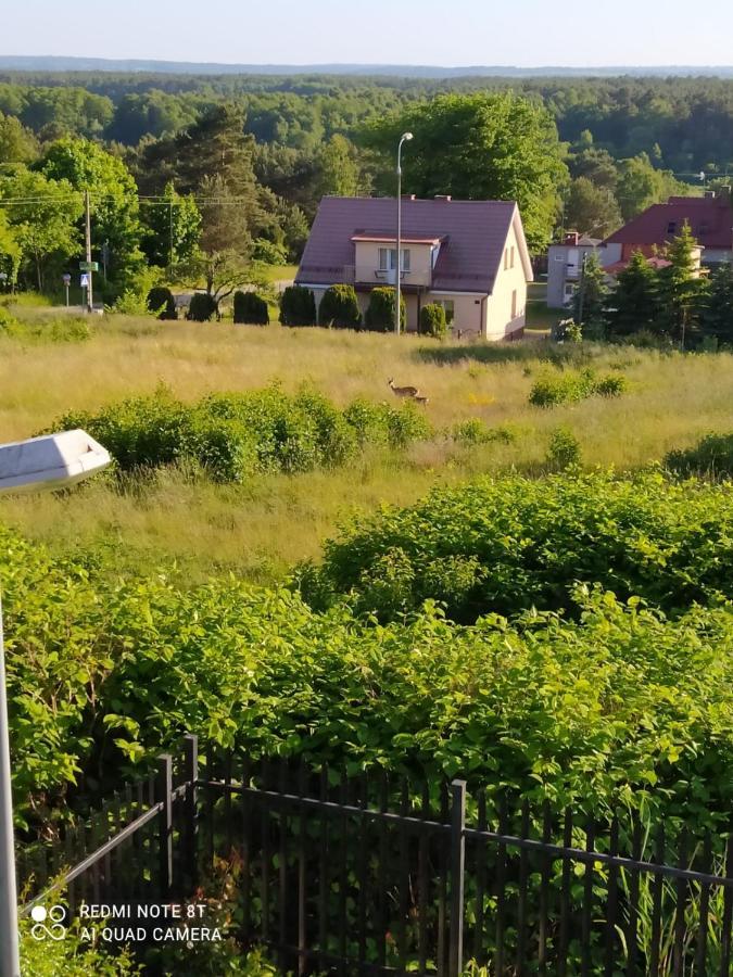 Mocik Apartment Jastrzebia Gora Bagian luar foto