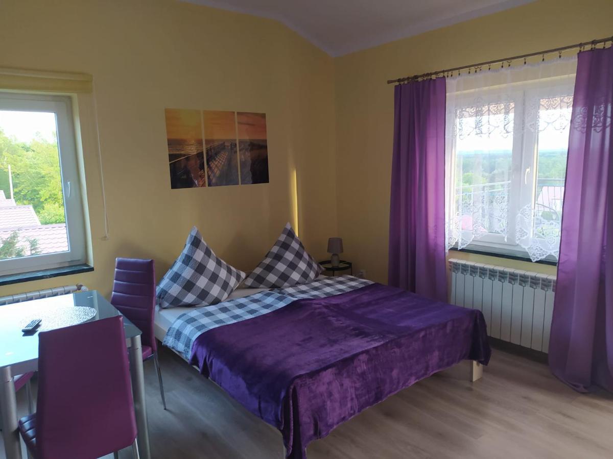 Mocik Apartment Jastrzebia Gora Bagian luar foto