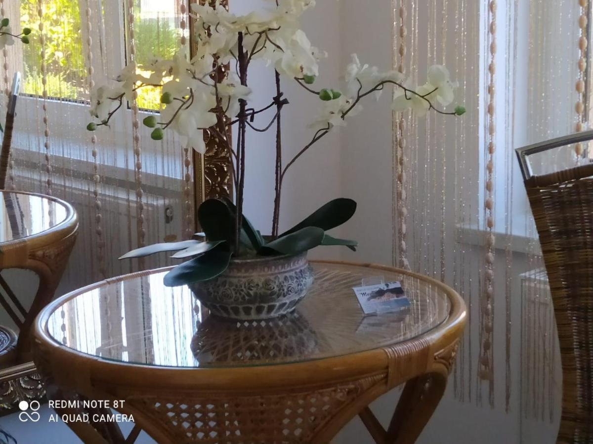 Mocik Apartment Jastrzebia Gora Bagian luar foto