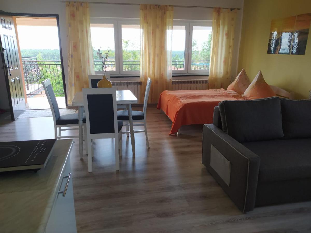 Mocik Apartment Jastrzebia Gora Bagian luar foto